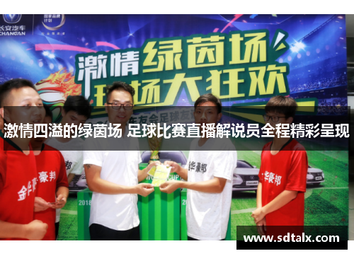 激情四溢的绿茵场 足球比赛直播解说员全程精彩呈现